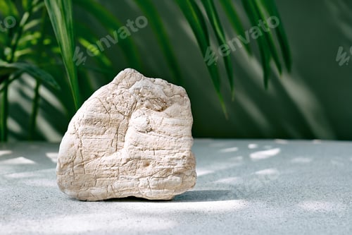 Preview: White stone as podiums display before deep green surface and palm leaves