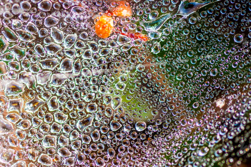 Preview: Dew drops closeup abstract nature background
