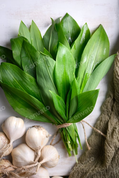 Preview: Fresh wild garlic leaves with garlic bulbs