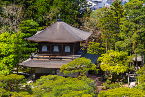 Preview: Temple and beautiful japanese gardens in Kyoto, japan, traditional temple architecture, vegetation