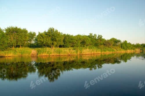 Preview: Morning on the river bank