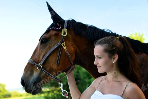 Preview: Horse Show Jumping