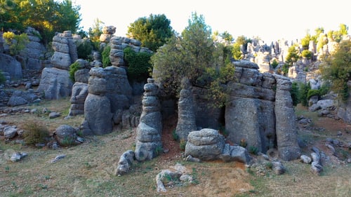 Preview: Geological landscape with beautiful rock formations and evergreen trees.