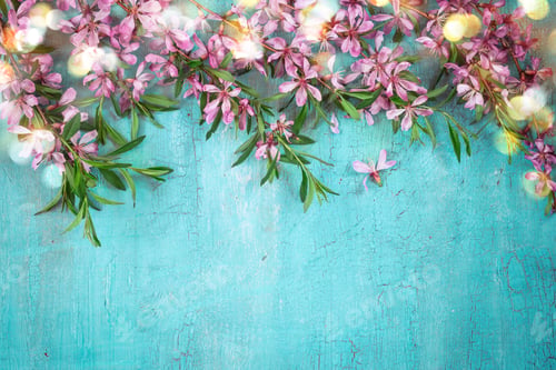 Preview: Border of flowering almonds on turquoise background. Festive spr