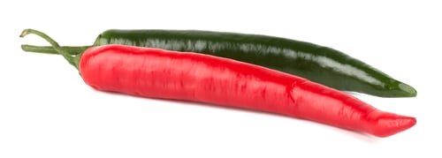 Preview: Hot chili peppers isolated on white background