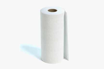 Preview: Embossed Paper Towel Roll, White