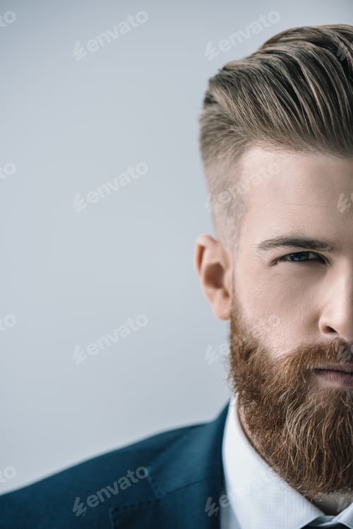 Preview: Cropped shot of handsome bearded businessman looking at camera isolated on grey