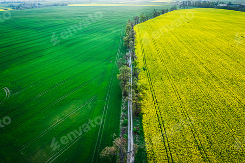 Preview: Aerial view of green and green fields in Poland