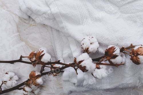 Preview: Cotton flower