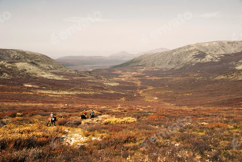 Preview: Three Tsaatan boys return to their nomadic home in Mongolia