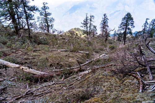 Preview: landscape view of deforestation at forest in Dhading, Nepal, on may 11, 2025.