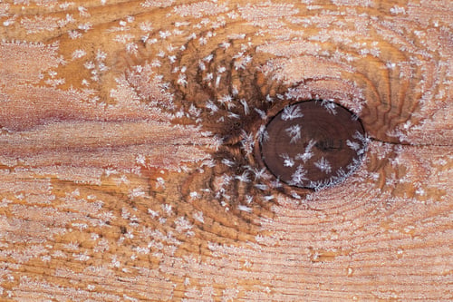 Preview: Rime frost crystals on wooden board after cold winter night