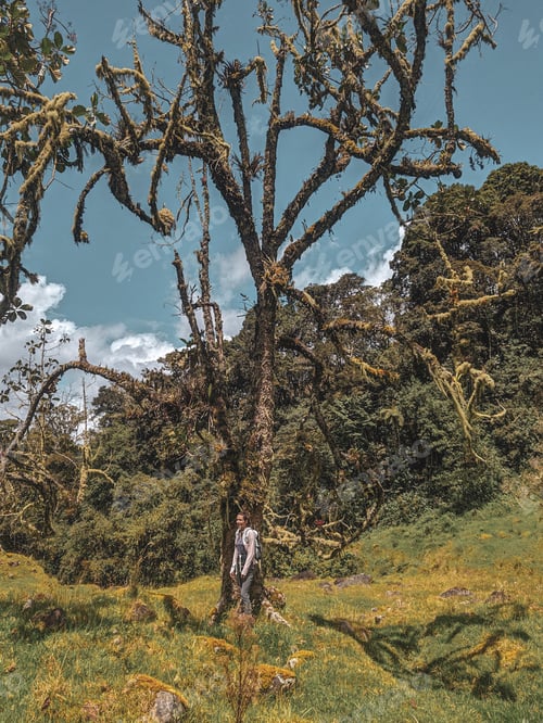 Preview: A woman in Colombian jungle