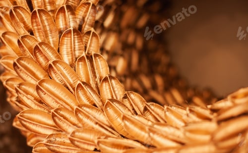 Preview: christmas wreath made of plants painted golden closeup