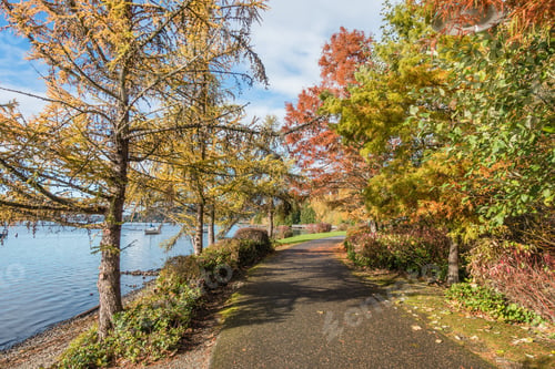 Preview: A View Of Autumn Leaves At Coulon Park In Renton, Washington.