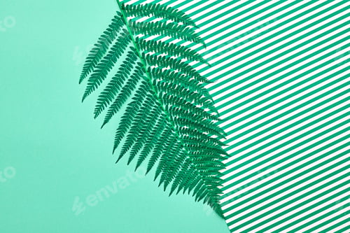 Preview: Minimal