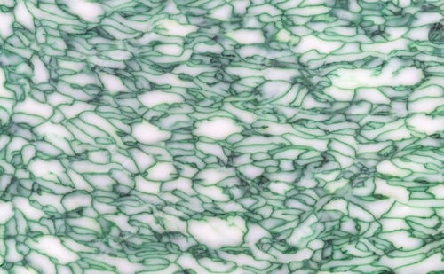Preview: Basil cheese close up