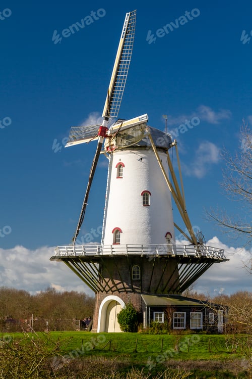Preview: White windmill in Veere 5