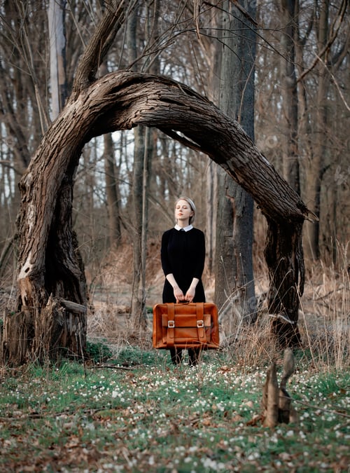 Preview: Blonde in dark dress with suicase near arc shape tree on swamp