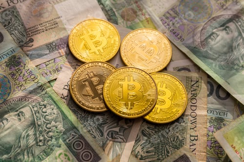 Preview: Bitcoin and Polish money