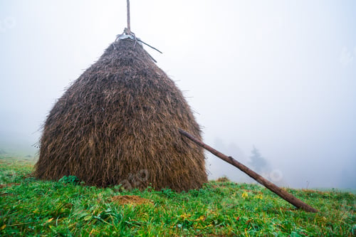 Preview: A large haystack stands on a green field among the dense gray fog