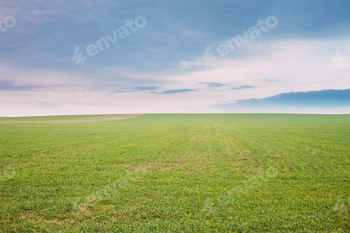 Preview: Countryside Rural Field Meadow Landscape In Spring Cloudy Day. Scenic Agricultural Landscape