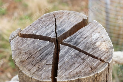 Preview: cross section of wooden post