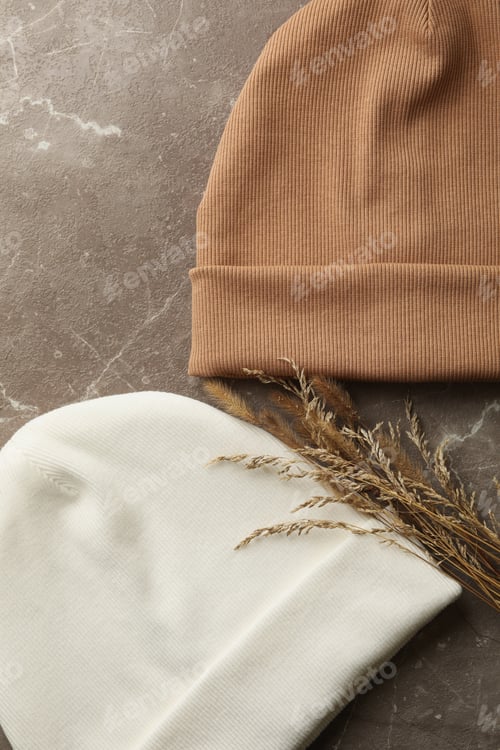 Preview: Stylish beanies and field plants on gray background