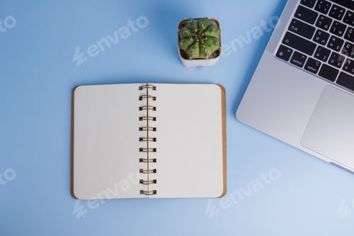 Preview: Top view computer cactus and notebook copy space above on background.