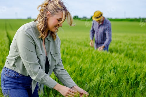 Preview: Potrait of female farmer standing in wheat field examining crop yield.