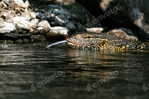 Preview: Lake Victoria - The Source of The River Nile - Uganda, Africa