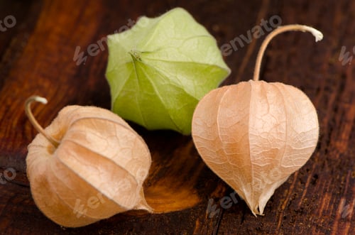 Preview: Physalis fruits closeup
