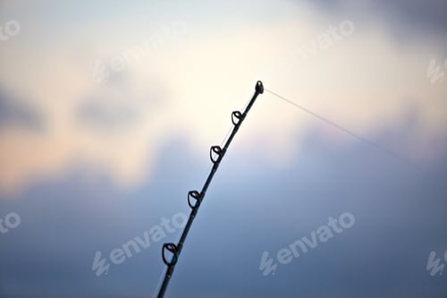 Preview: 45452,Tip Of Fishing Pole
