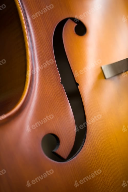Preview: Upright bass