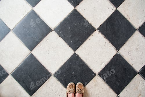 Preview: Black and white stone floors at Chenonceau castle in the Loire valley