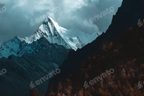 Preview: Colorful in autumn forest and snow mountain at Yading nature reserve, The last Shangri la