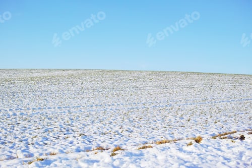 Preview: Wintertime