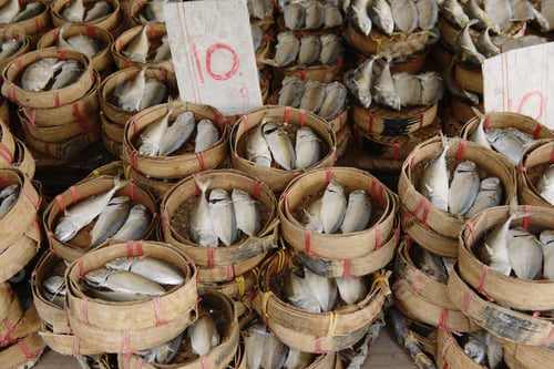 Preview: Fish market, Bangkok, Thailand