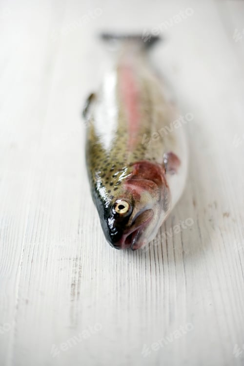 Preview: Fresh rainbow trout