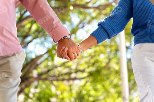 Preview: Elderly couple holding hands while walking in a park
