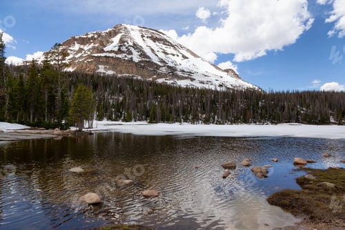 Preview: Lake surrounded by Mountains and Trees in Amercian Landscape.