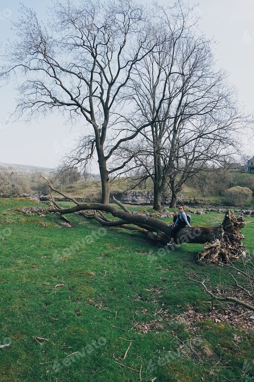 Preview: Girl sitting in tree in the countryside
