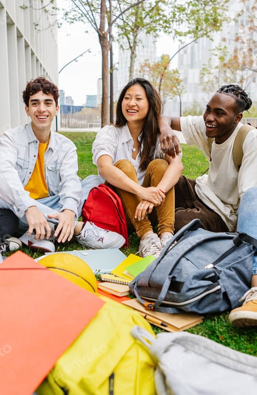Preview: Diverse group of young teenage students relaxing at high school campus