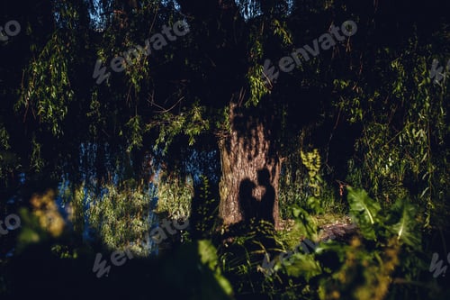 Preview: Love of man and woman depicted in couple silhouettes holding hands and looking on each other.