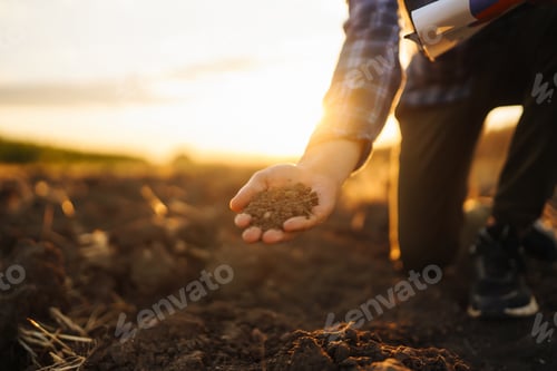 Preview: Expert hand of farmer checking soil health before growth a seed of vegetable. Business concept.