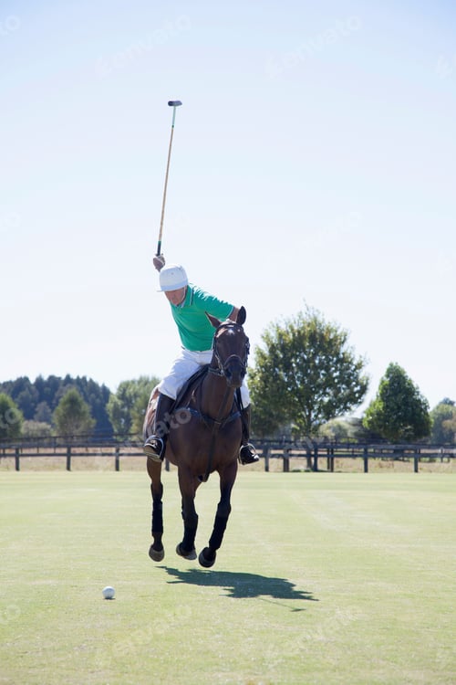 Preview: Mature man playing polo