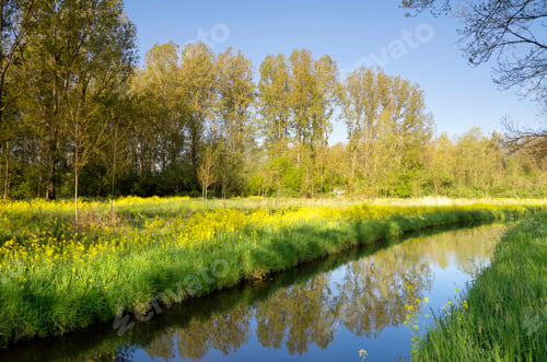 Preview: Canal in the Alblasserbos