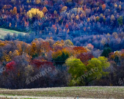 Preview: Fall time confetti