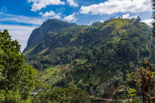 Vorschau: Wunderschönen Nuwara Eliya