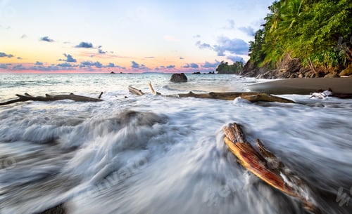 Preview: Waves Crash Against Driftwood During Sunset in Costa Rica